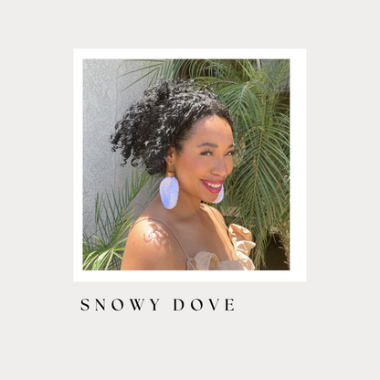 Snowy Dove